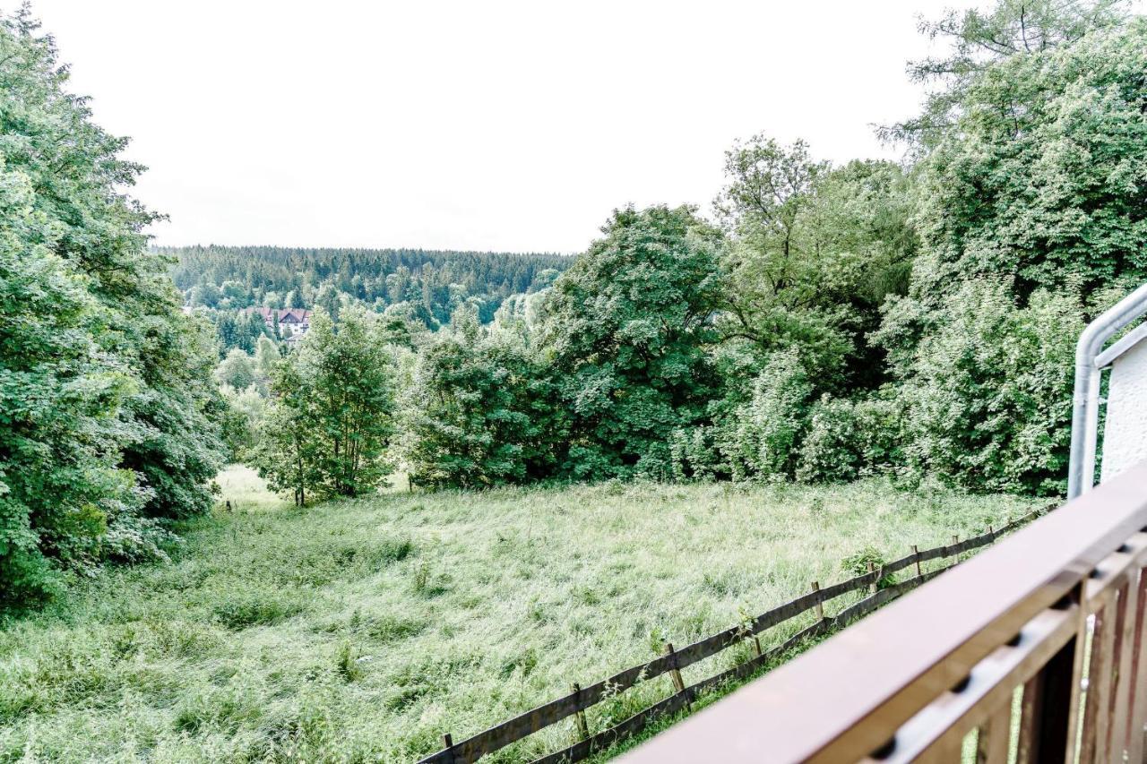 Wiesenblick Goslar Ngoại thất bức ảnh